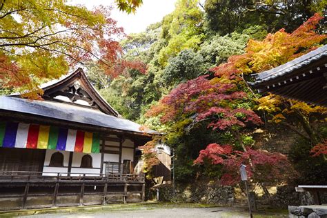 神峰山寺|大阪 高槻 神峯山寺の歴史と信仰 